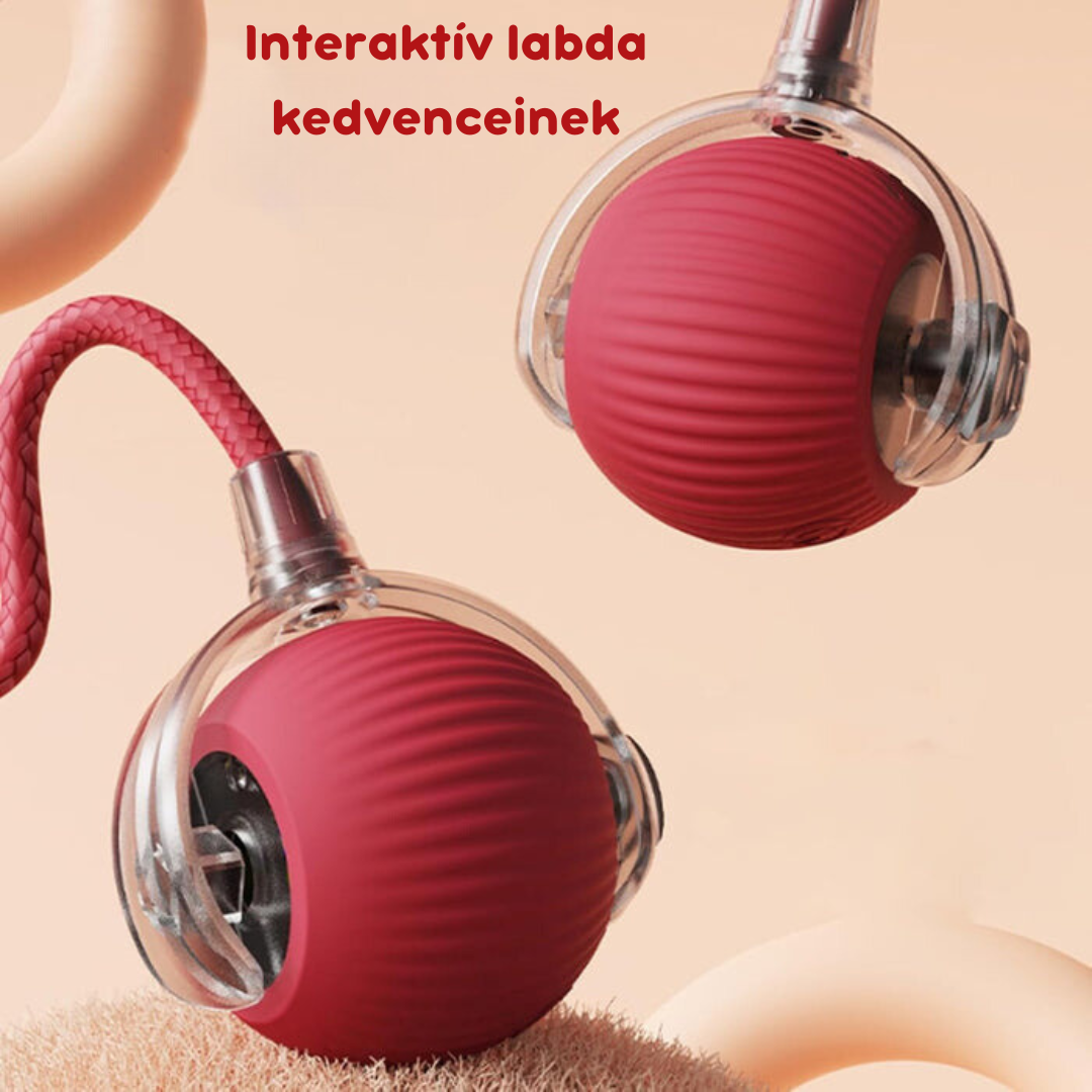 Intelligens interaktív labda macskáknak