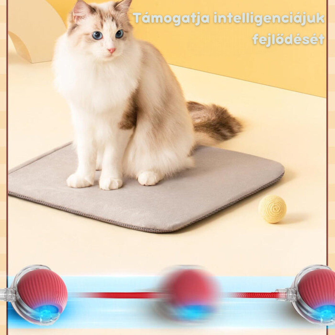 Intelligens interaktív labda macskáknak