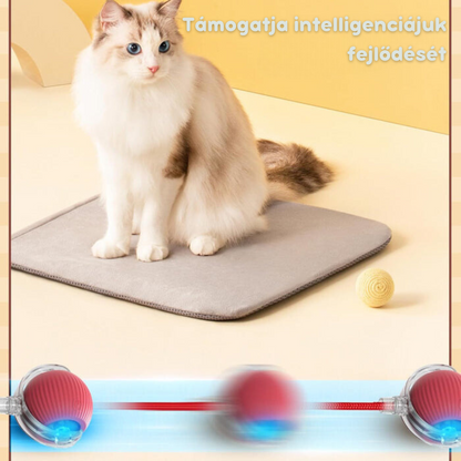 Intelligens interaktív labda macskáknak